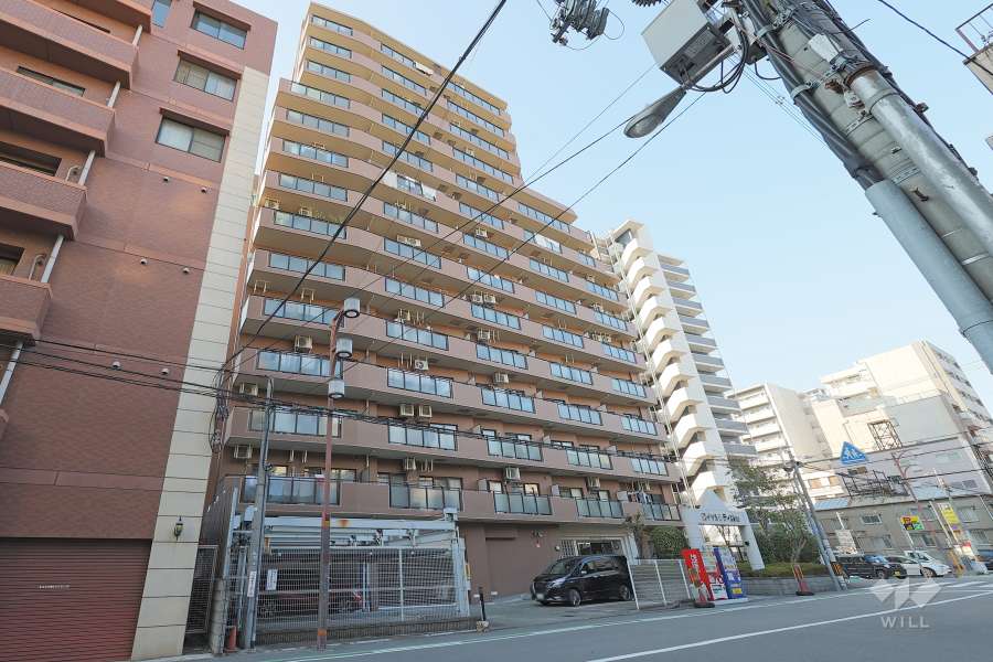 ロイヤルシティ難波の外観（南東側から）　