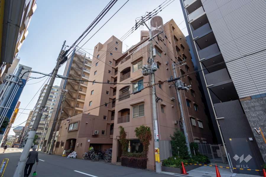 メゾン難波の外観（北西側から）