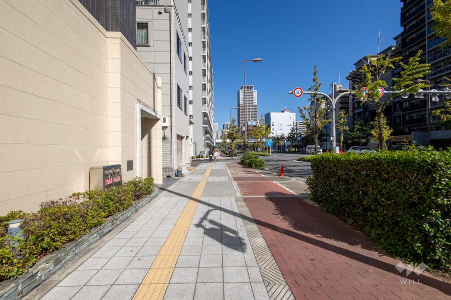 敷地東側の前面道路　