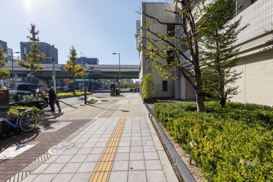 敷地の東側前面道路（北側から）