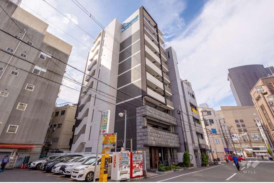 プレサンス難波ラフィーネの外観（北東側から）