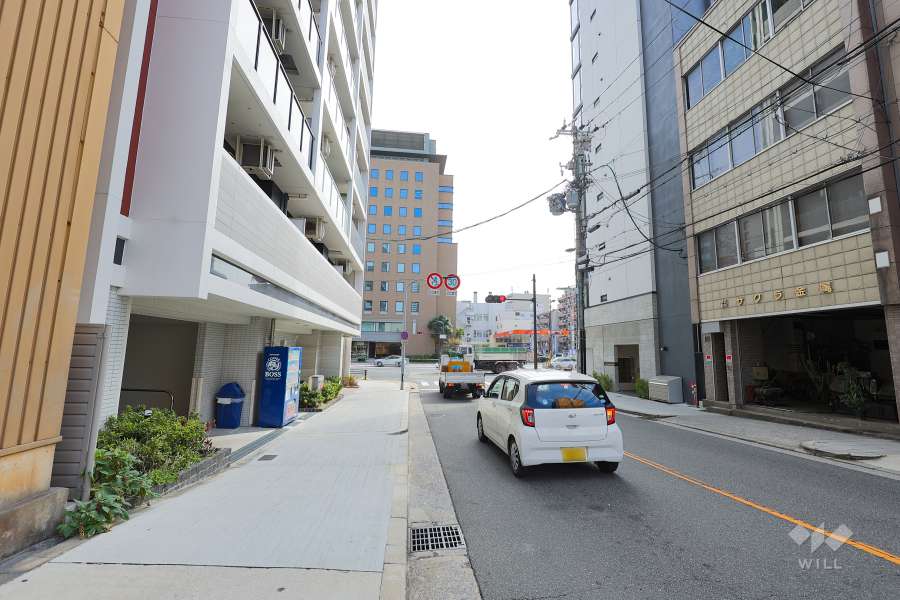敷地の西側前面道路（北側から）