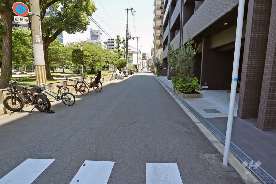 敷地北側の前面道路（西側から）