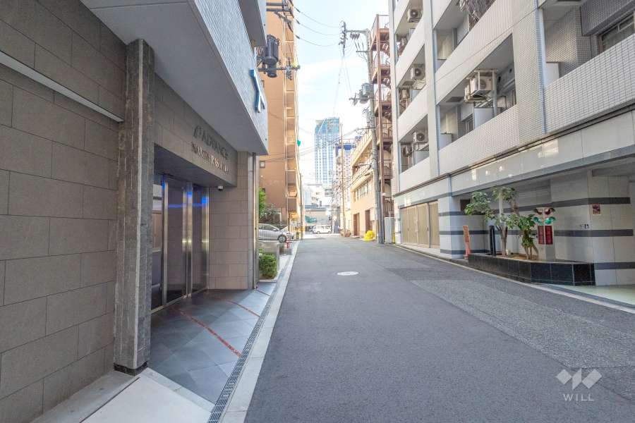 敷地の南側前面道路（西側から）