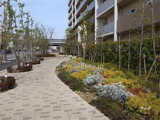 エントランス横の植栽スペース