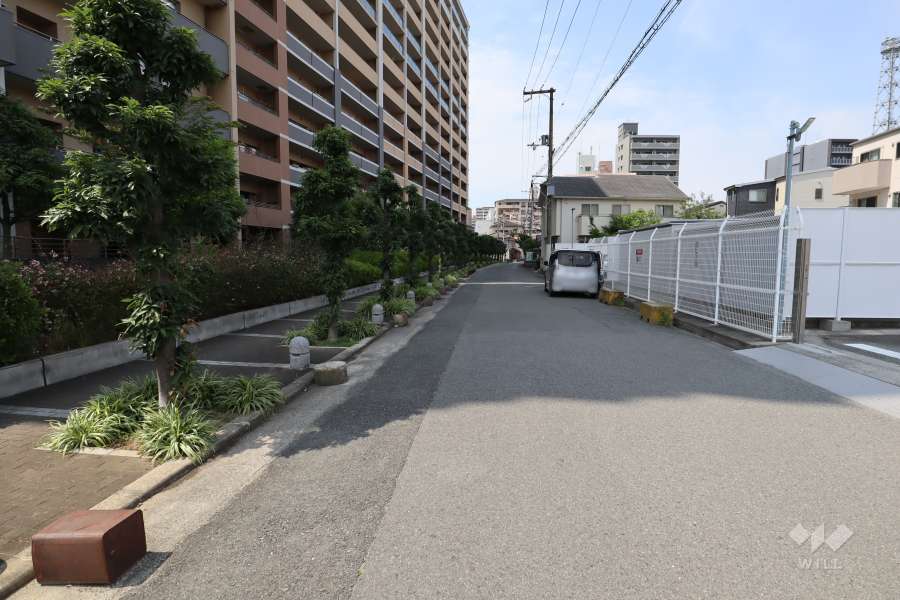 敷地東側の前面道路（南側から）