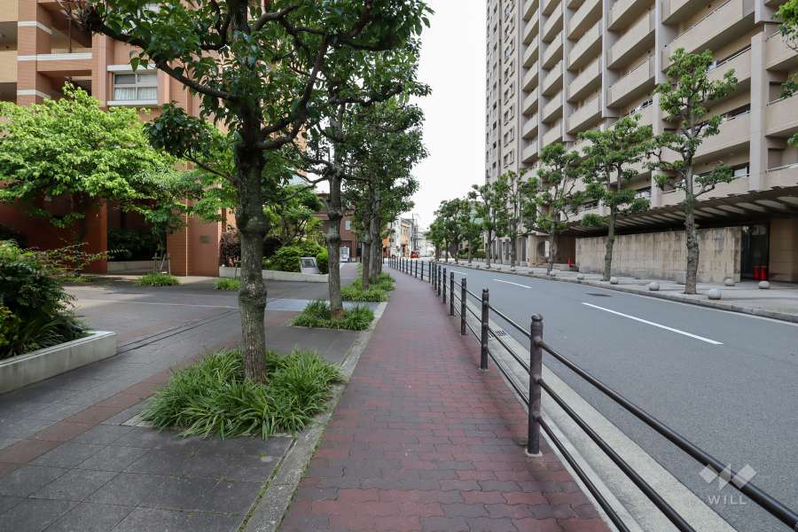 敷地西側の前面道路（北側から）
