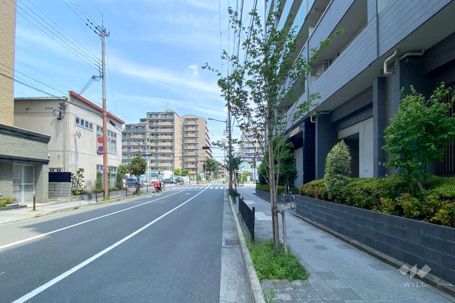 敷地西側の前面道路（南側から）