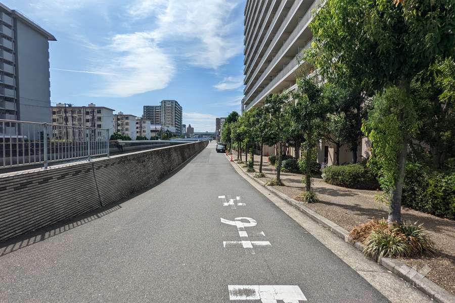 敷地東側の前面道路
