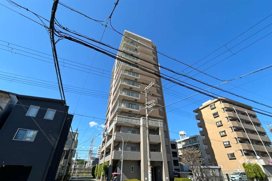 ロイヤルアーク城東野江の外観（東側から）　