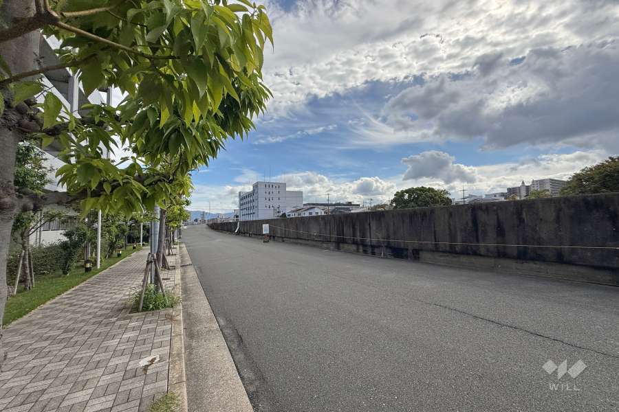 敷地南側の前面道路（西側から）