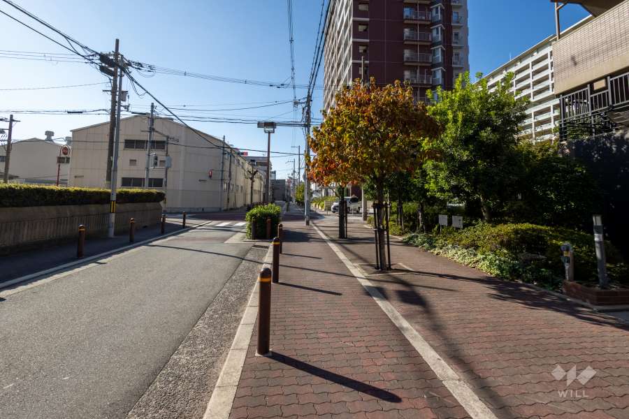 敷地の南側前面道路（東側から）