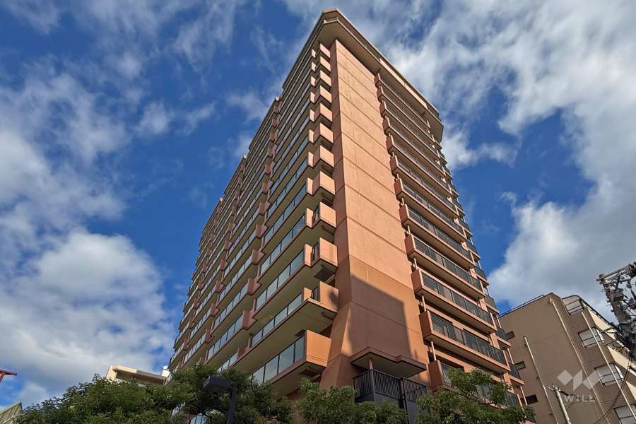 ファミール深江橋デュオの外観（南西側から）