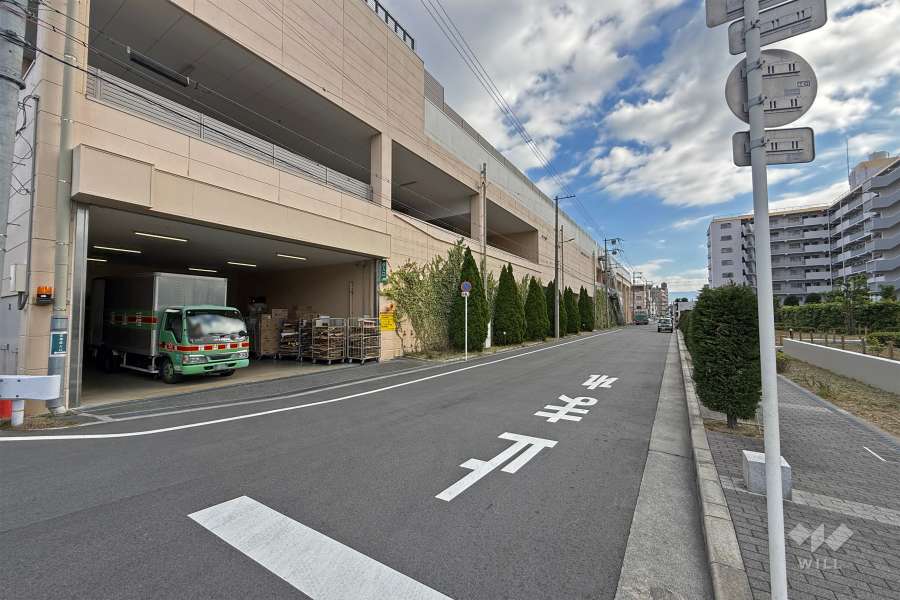 敷地北側の前面道路（西側から）