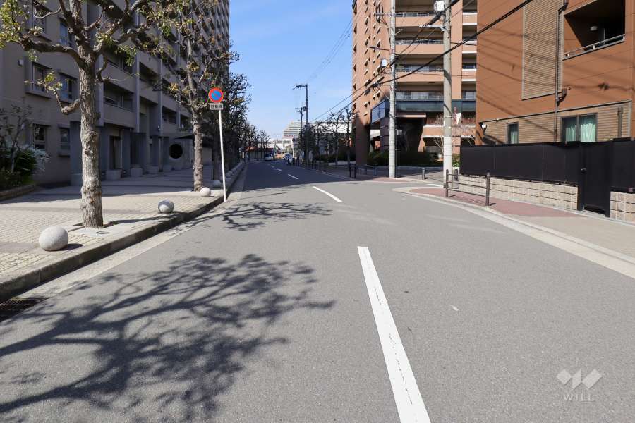 敷地東側の前面道路（南側から）