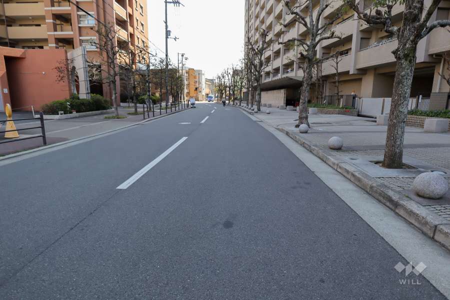 敷地東側の前面道路（北側から）
