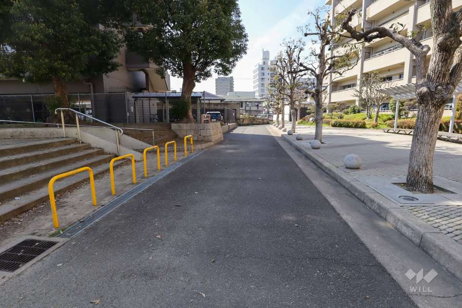 敷地西側の前面道路（南側から）