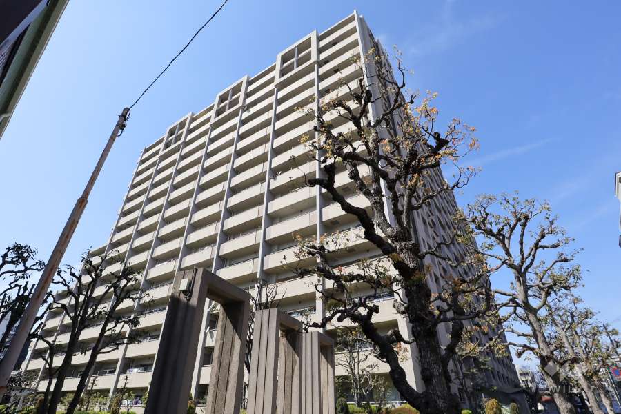 ステイツ城東グランプレイスの外観（南側から）