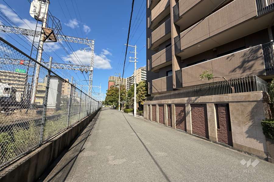 敷地西側の前面道路（南側から）