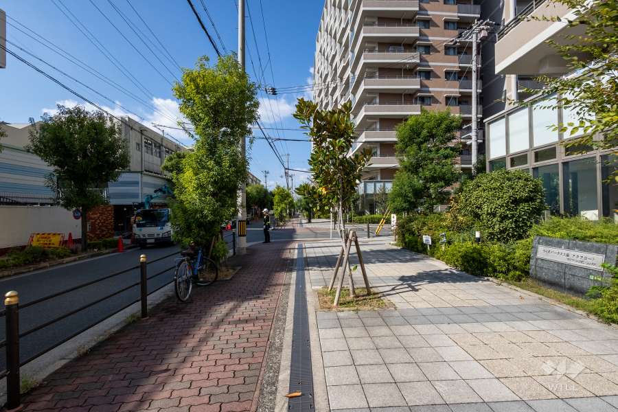 敷地の南側前面道路（東側から）