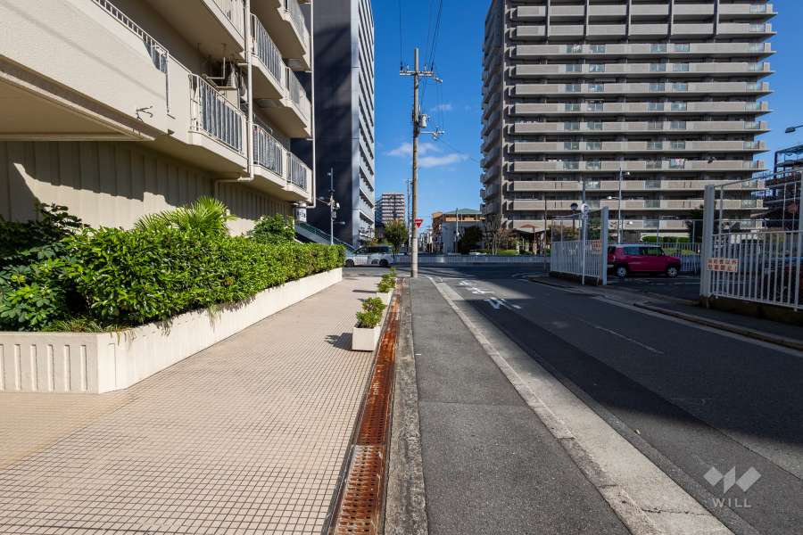 敷地の東側前面道路（南側から）
