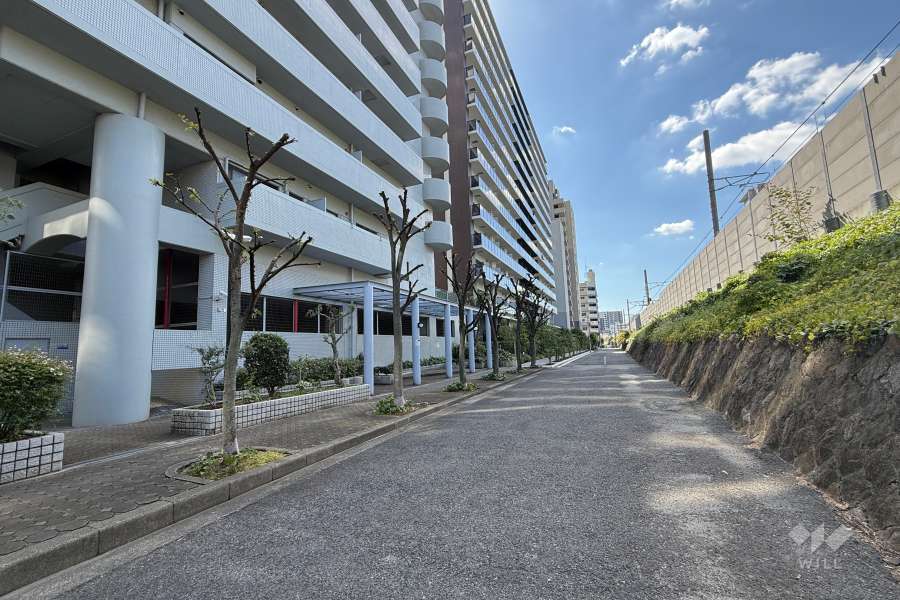敷地西側の前面道路（北側から）