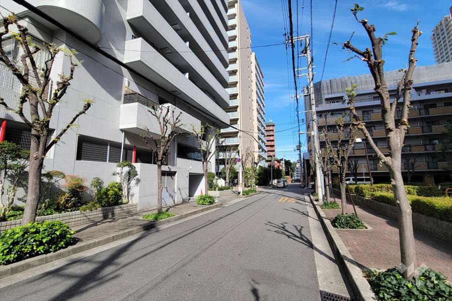 敷地東側の前面道路(南側から)