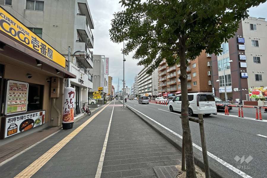 敷地西側の前面道路（北側から）