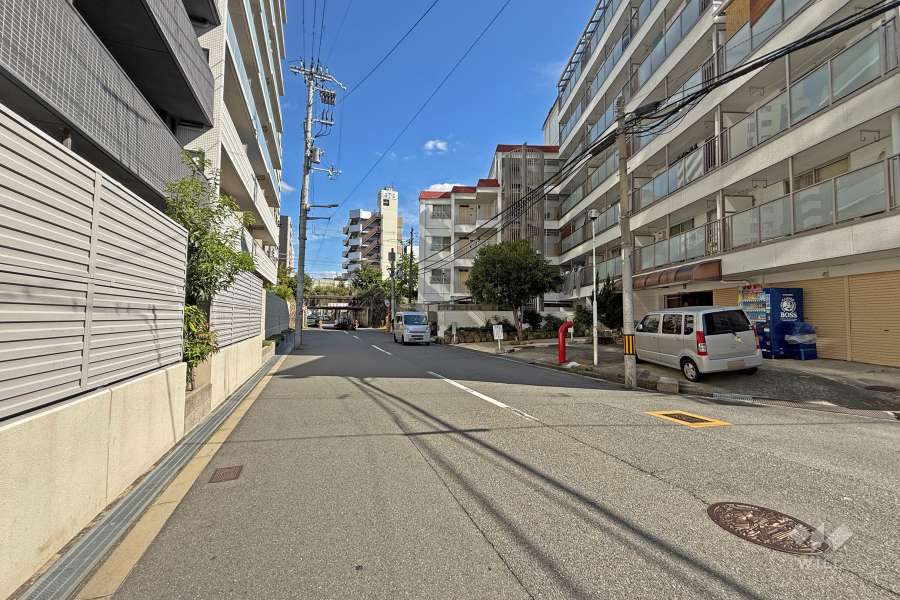 敷地北側の前面道路（西側から）