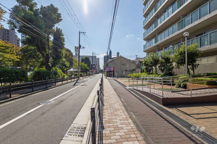 敷地東側の前面道路　