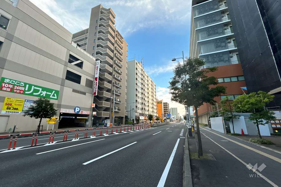 プレジデント城東の遠景（北西側から）