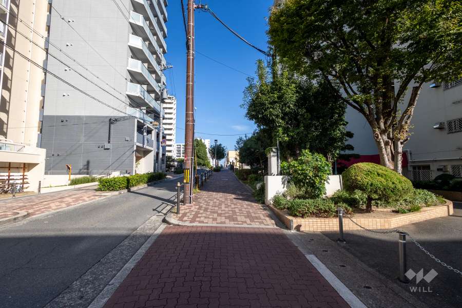 敷地の北側前面道路（西側から）