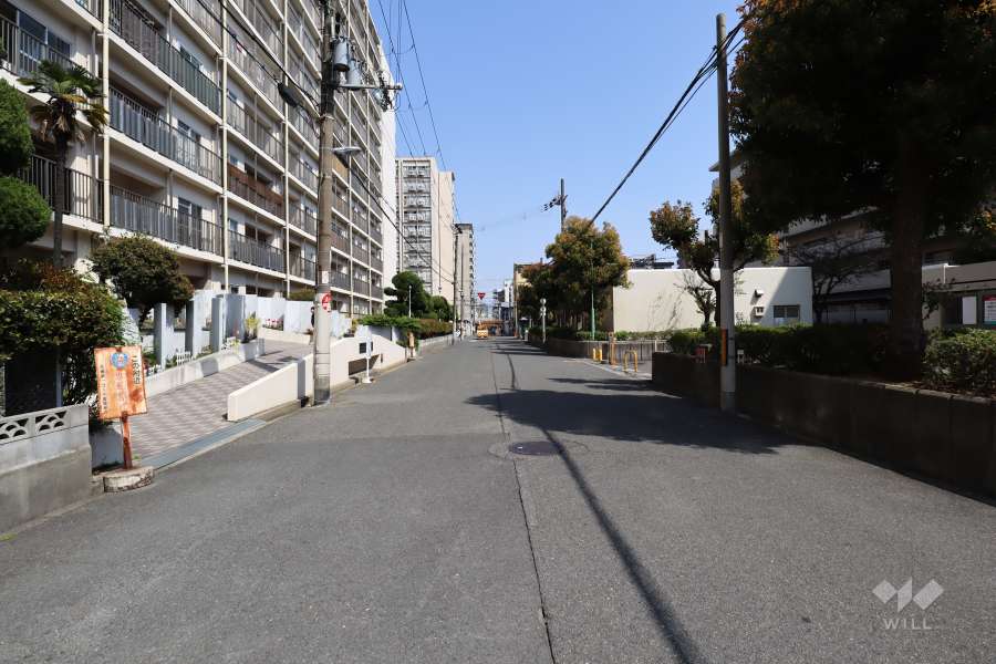敷地南側の前面道路（西側から）
