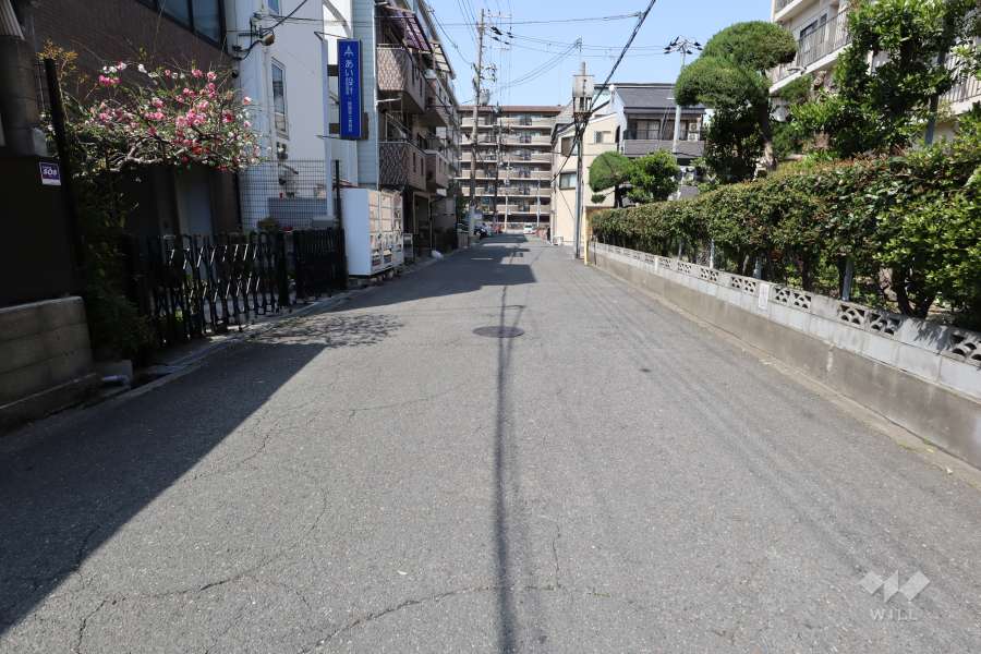 敷地西側の前面道路（南側から）