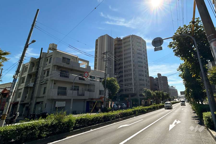 敷地西側の前面道路（北側から）