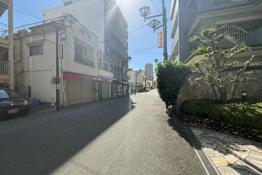 敷地東側の前面道路（北側から）