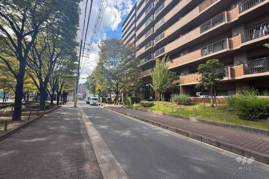 敷地南東側の前面道路（北東側から）
