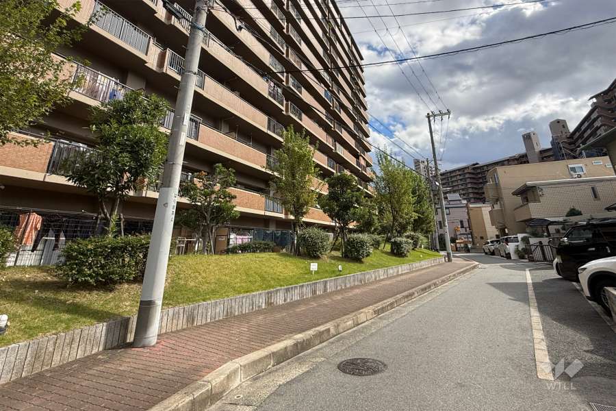 敷地南西側の前面道路（北西側から）
