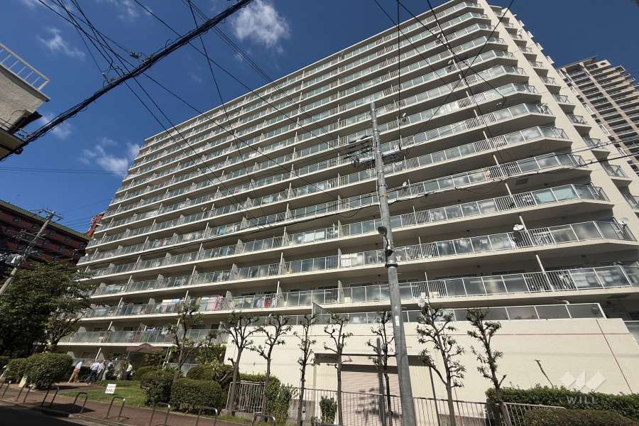 ファミール野江の外観（南東側から）