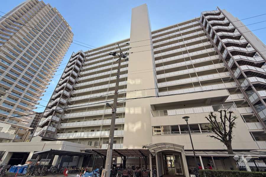 ファミール野江の外観（北側から）