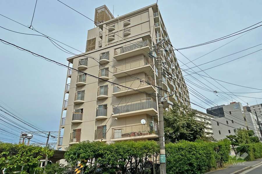 ハイム関目の外観（西側から）