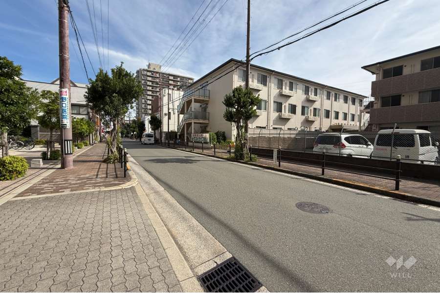 敷地南側の前面道路（西側から）