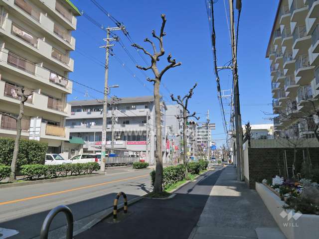 敷地西側の前面道路（南側から）
