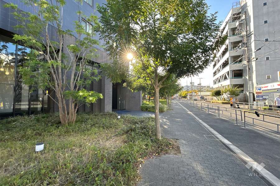 敷地南側の前面道路（西側から）