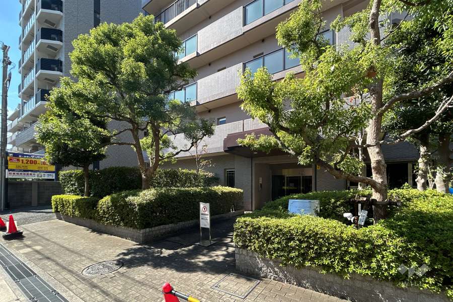 エントランスアプローチ