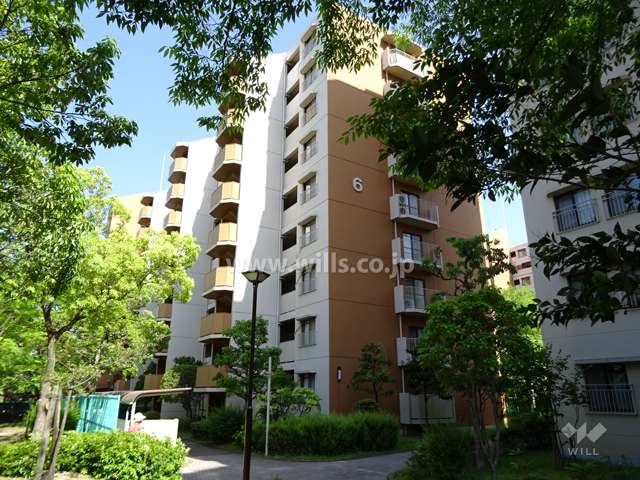 白川高層住宅6号棟の外観（北西側から）