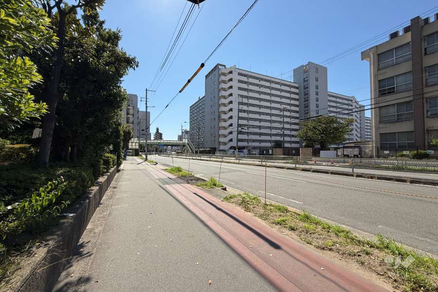 敷地西側の前面道路（北側から）