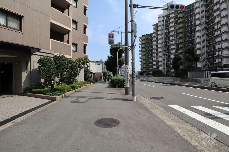 敷地西側の前面道路（北側から）