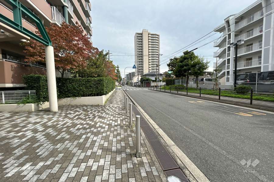 敷地南側の前面道路
