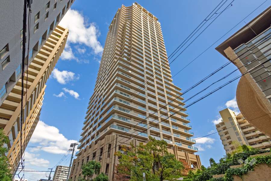 コムズシティ野江D棟の外観（南西側から）